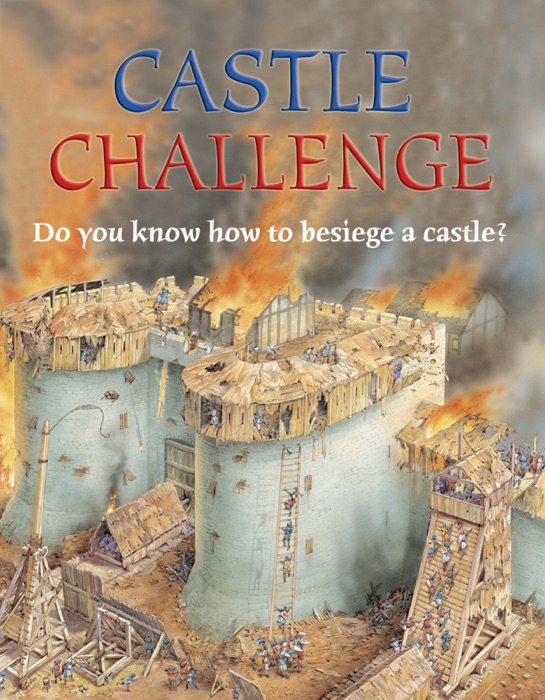 Castle Challenge