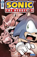 Ian Flynn & Jack Lawrence - Sonic the Hedgehog #20 artwork