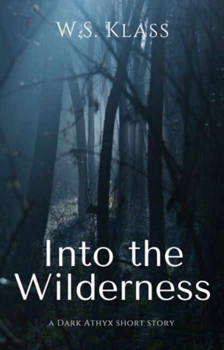 Into the Wilderness