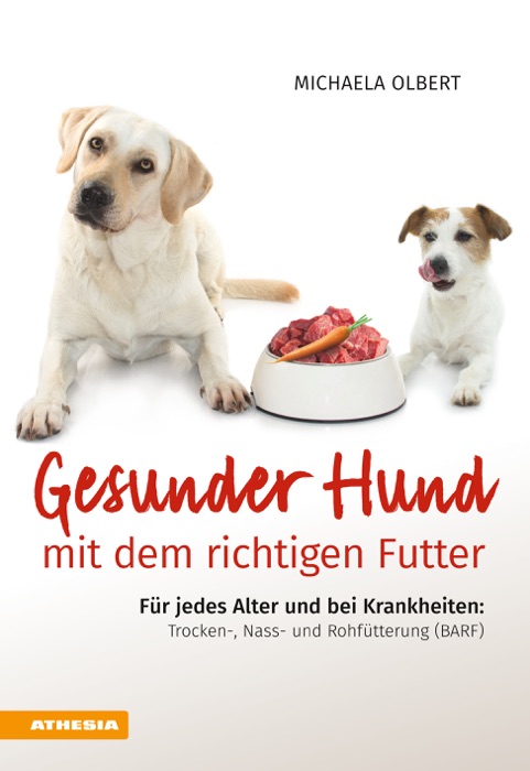 Gesunder Hund mit dem richtigen Futter