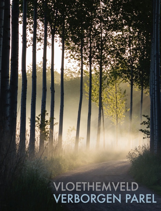 Vloethemveld