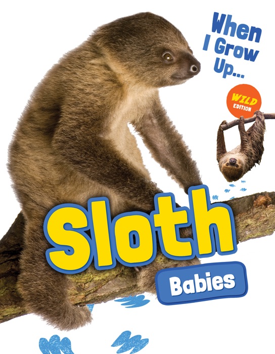 Sloth Babies