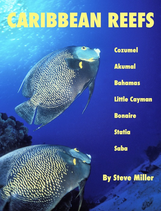 Caribbean Reefs