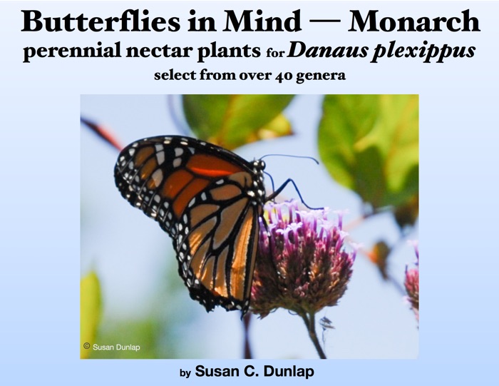 Butterflies in Mind - Monarchs