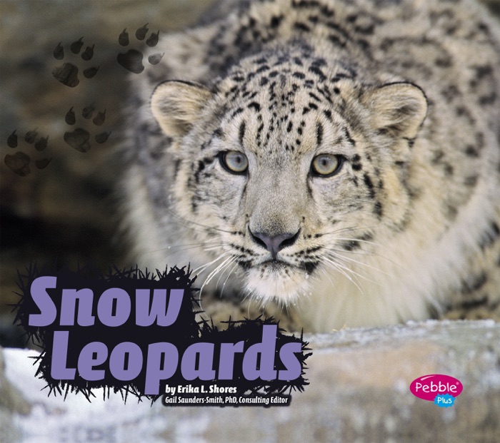 Snow Leopards