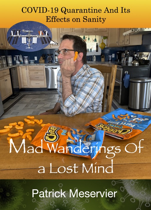 Mad Wanderings of a Lost Mind