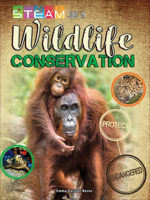 STEM Jobs in Wildlife Conservation