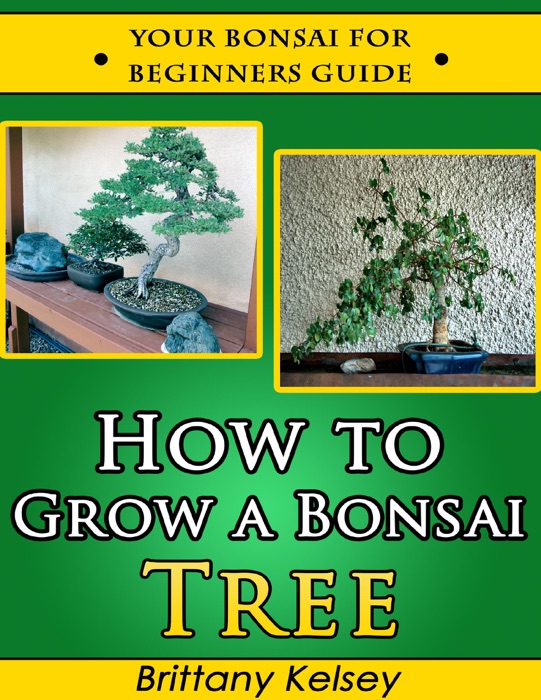 [Download] "How to Grow a Bonsai Tree Your Bonsai for Beginners Guide