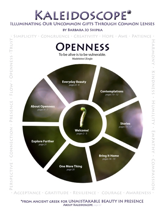 Kaleidoscope: Openness