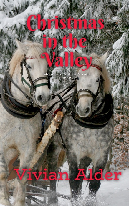 Christmas in the Valley