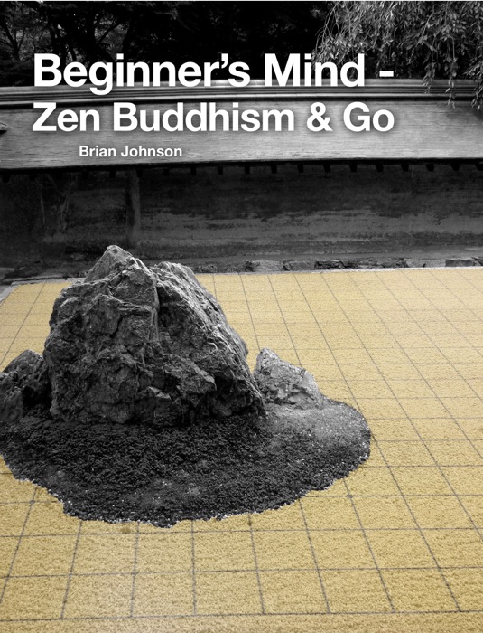 Beginner’s Mind - Zen Buddhism & Go