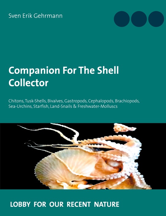 Companion For The Shell Collector