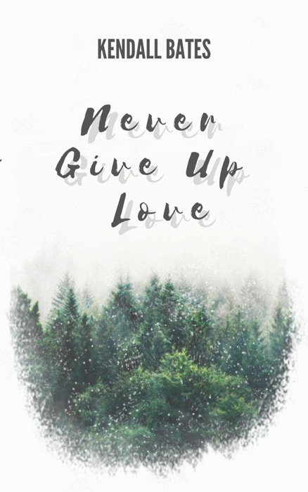 Never Give Up Love