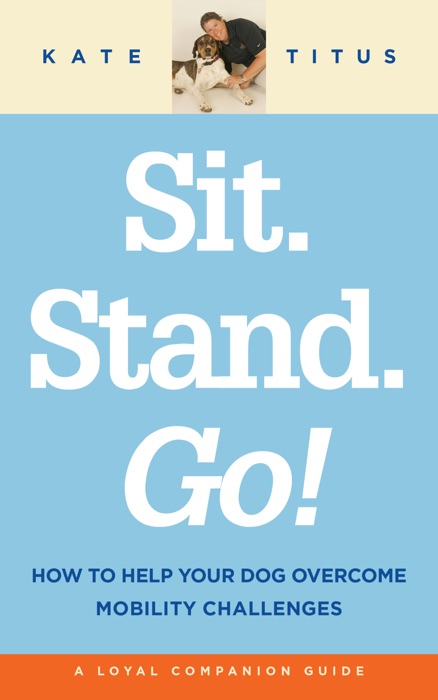 Sit. Stand. Go!