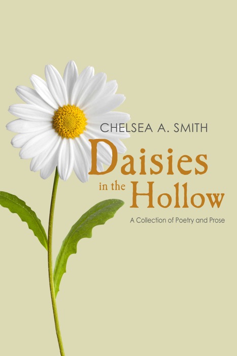 Daisies in the Hollow