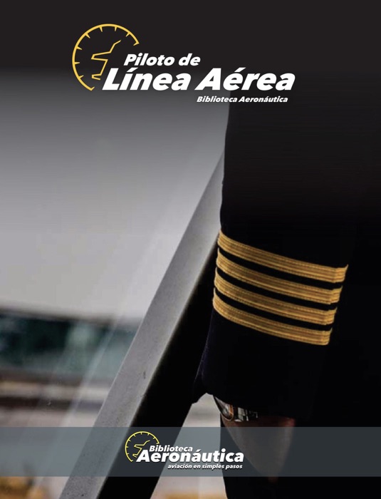 Piloto de Línea Aérea