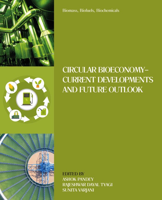 Biomass, Biofuels, Biochemicals (Enhanced Edition)