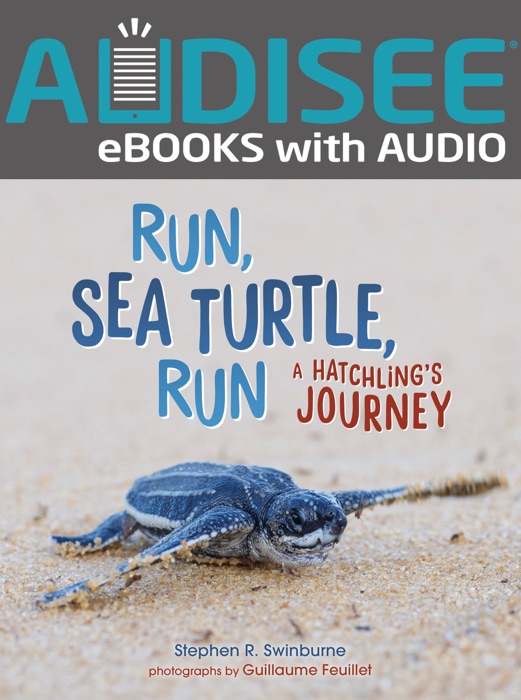 Run, Sea Turtle, Run (Enhanced Edition)