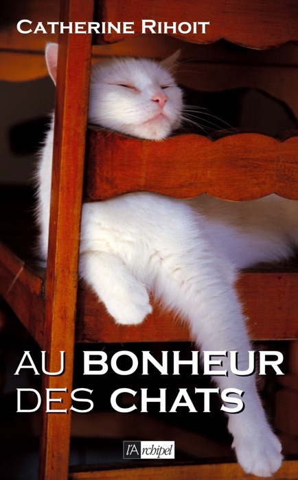 Au bonheur des chats