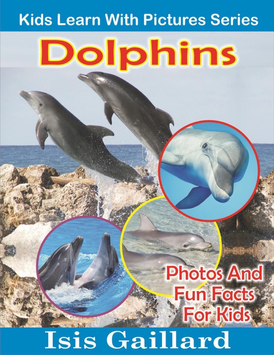 Dolphins Photos and Fun Facts for Kids