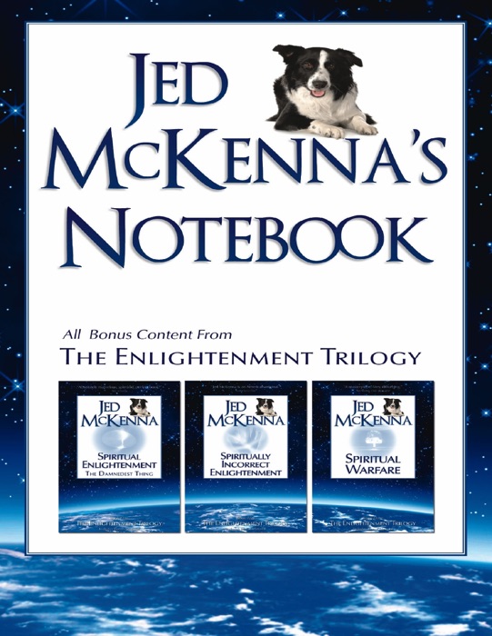Jed McKenna's Notebook