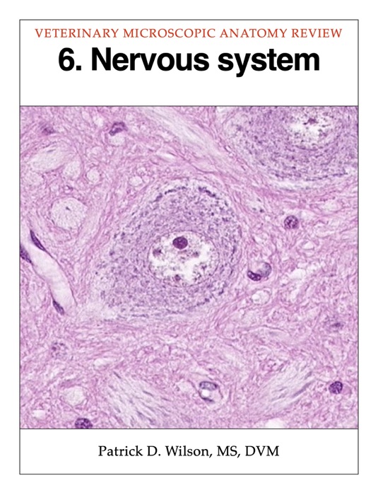 Nervous system