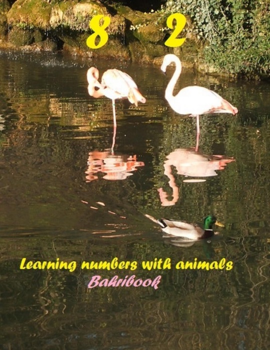 Learning Numbers with Animals