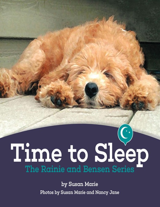 Time to Sleep: The Rainie and Bensen Series