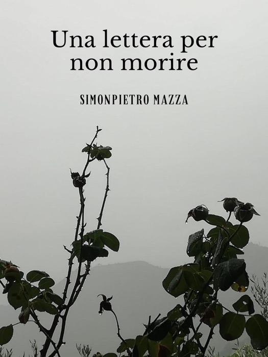 Una lettera per non morire