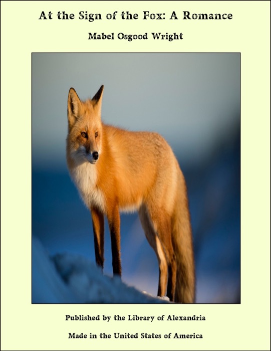 At the Sign of the Fox: A Romance