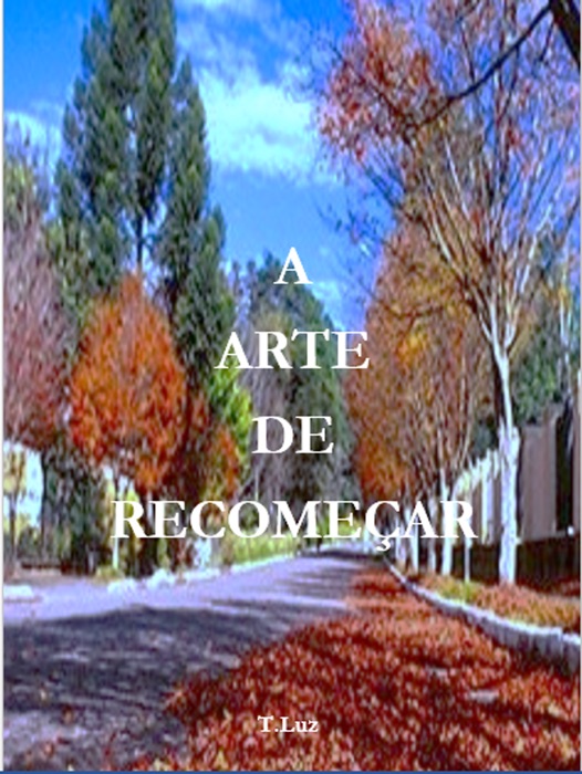 A ARTE DE RECOMEÇAR