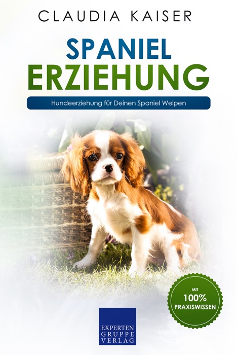 Spaniel Erziehung