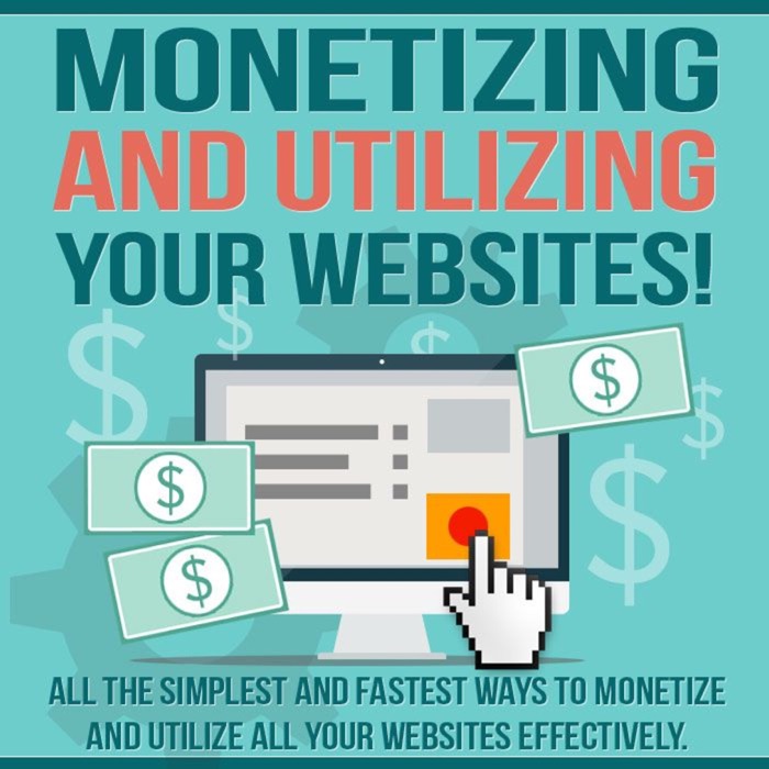 Monetizing and Utilizing Your Website