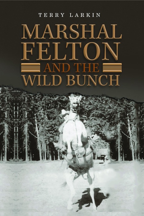 Marshal Felton and the Wild Bunch