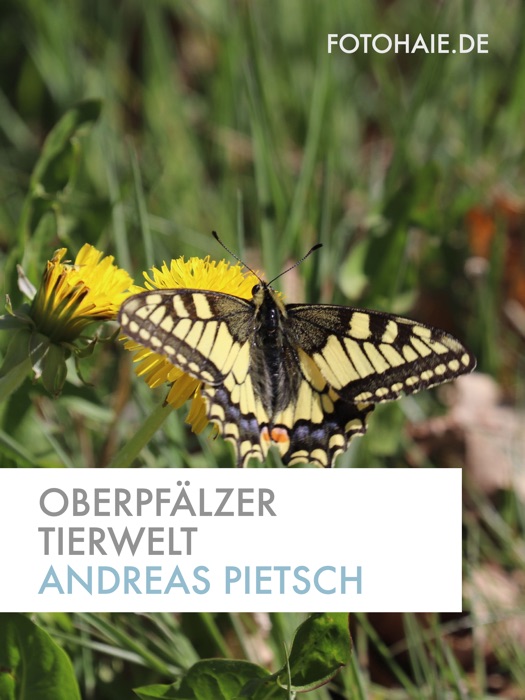 Oberpfälzer Tierwelt