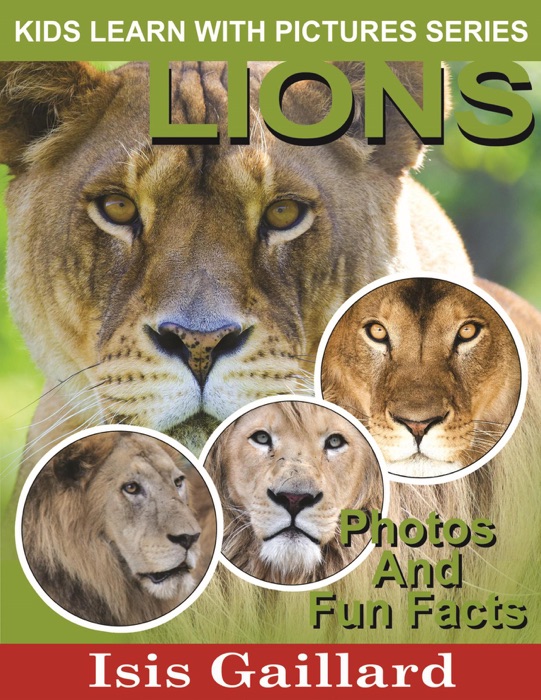 Lions Photos and Fun Facts for Kids