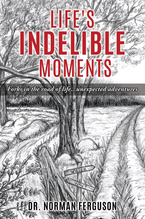 Life's Indelible Moments