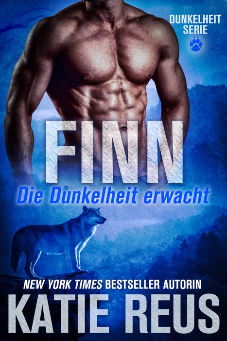 Finn: Die Dunkelheit erwacht