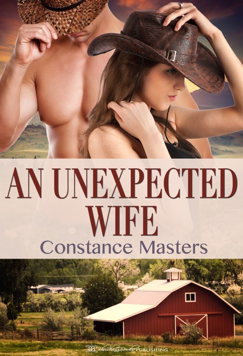 An Unexpected Wife