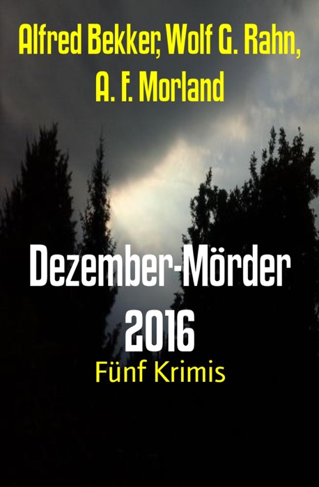 Dezember-Mörder 2016