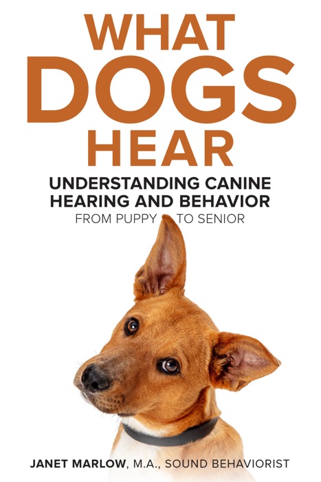 What Dogs Hear