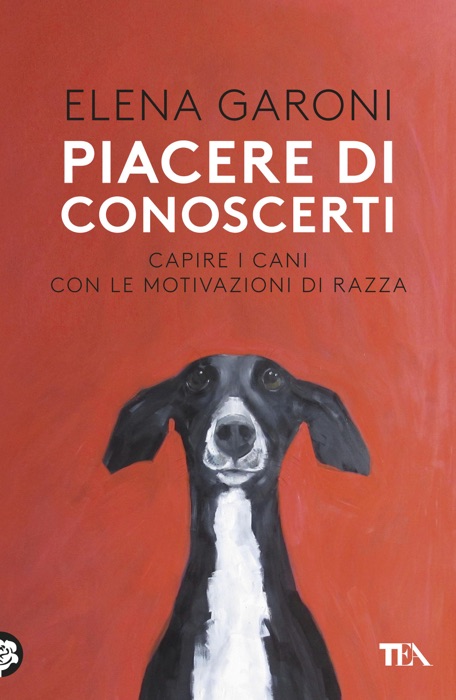 Piacere di conoscerti