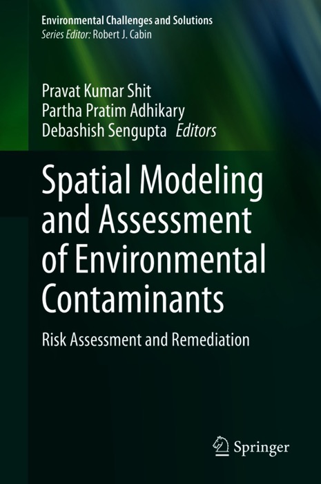 Spatial Modeling and Assessment of Environmental Contaminants