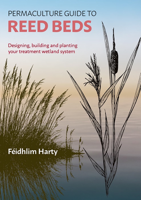 Permaculture Guide to Reed Beds