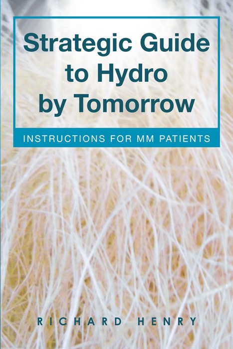 Strategic Guide to Hydro by Tomorrow