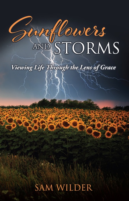 SUNFLOWERS and STORMS