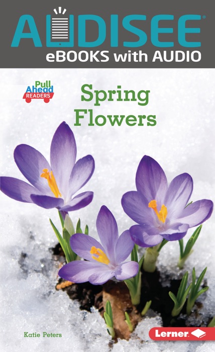 Spring Flowers (Enhanced Edition)