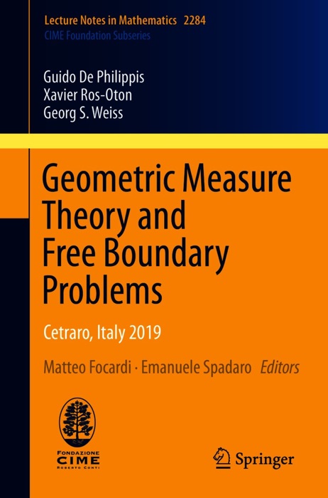 Geometric Measure Theory and Free Boundary Problems
