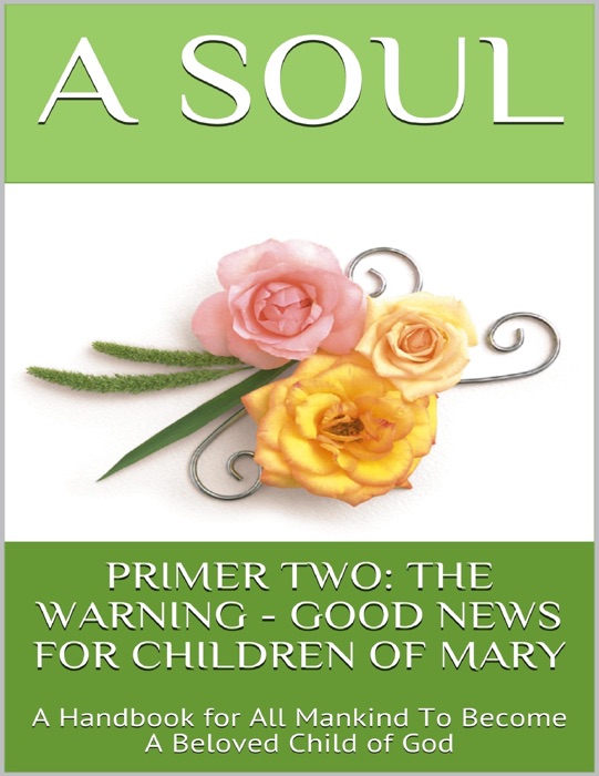 Primer Two: The Warning - Good News for Children of Mary: A Handbook for All Mankind to Become a Beloved Child of God