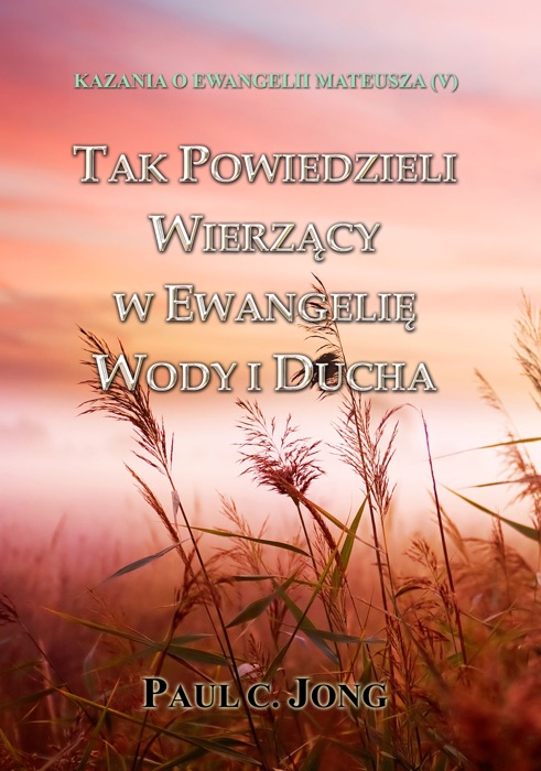 KAZANIA O EWANGELII MATEUSZA (V) - TAK POWIEDZIELI WIERZĄCY W EWANGELIĘ WODY I DUCHA